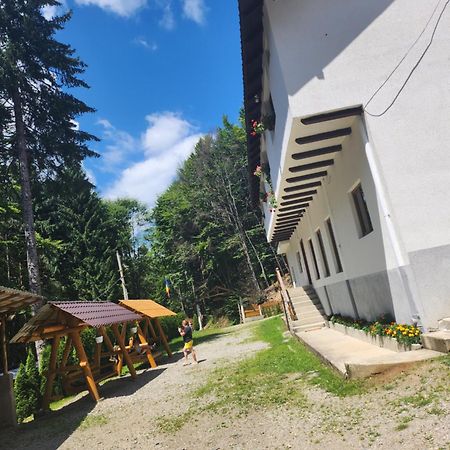 Cabana Valea Bradului Nucsoara  Exterior photo