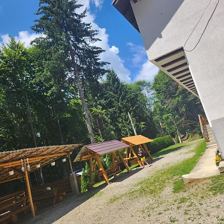 Cabana Valea Bradului Nucsoara  Exterior photo