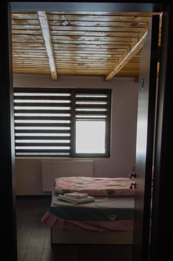 Cabana Valea Bradului Nucsoara  Exterior photo