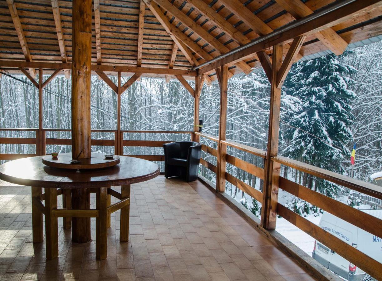 Cabana Valea Bradului Nucsoara  Exterior photo