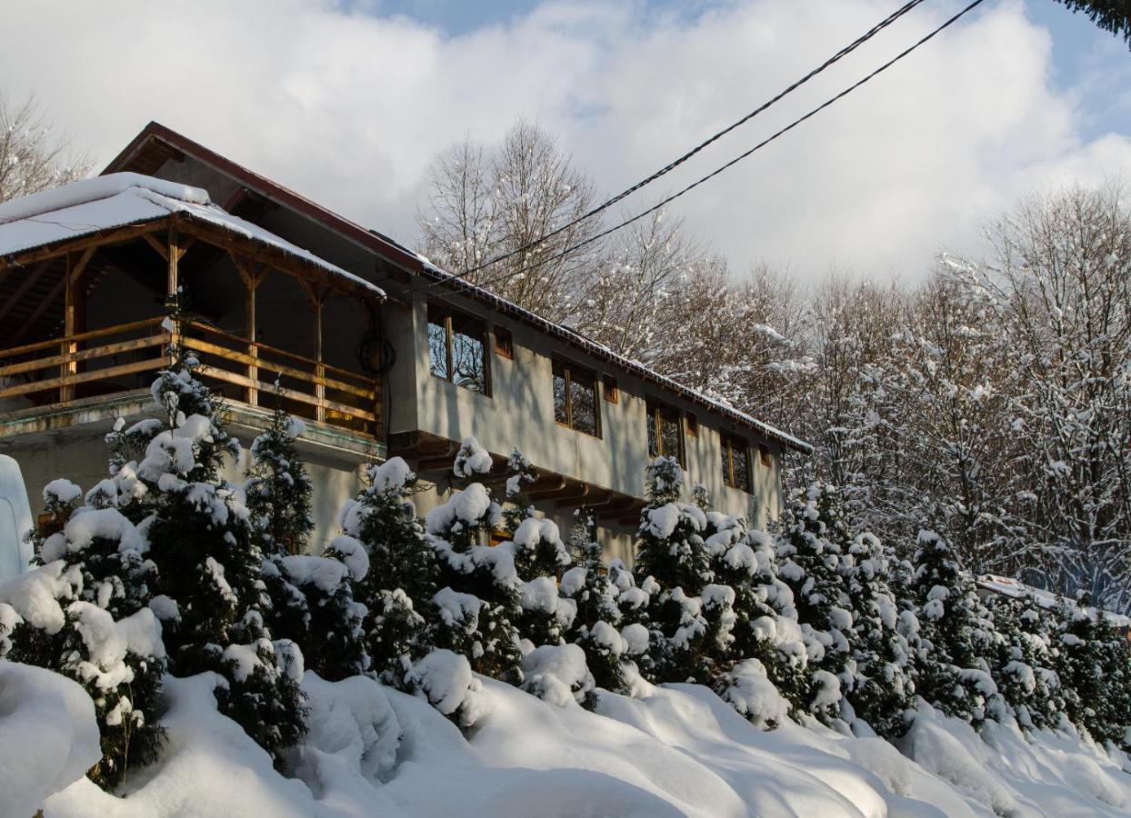 Cabana Valea Bradului Nucsoara  Exterior photo