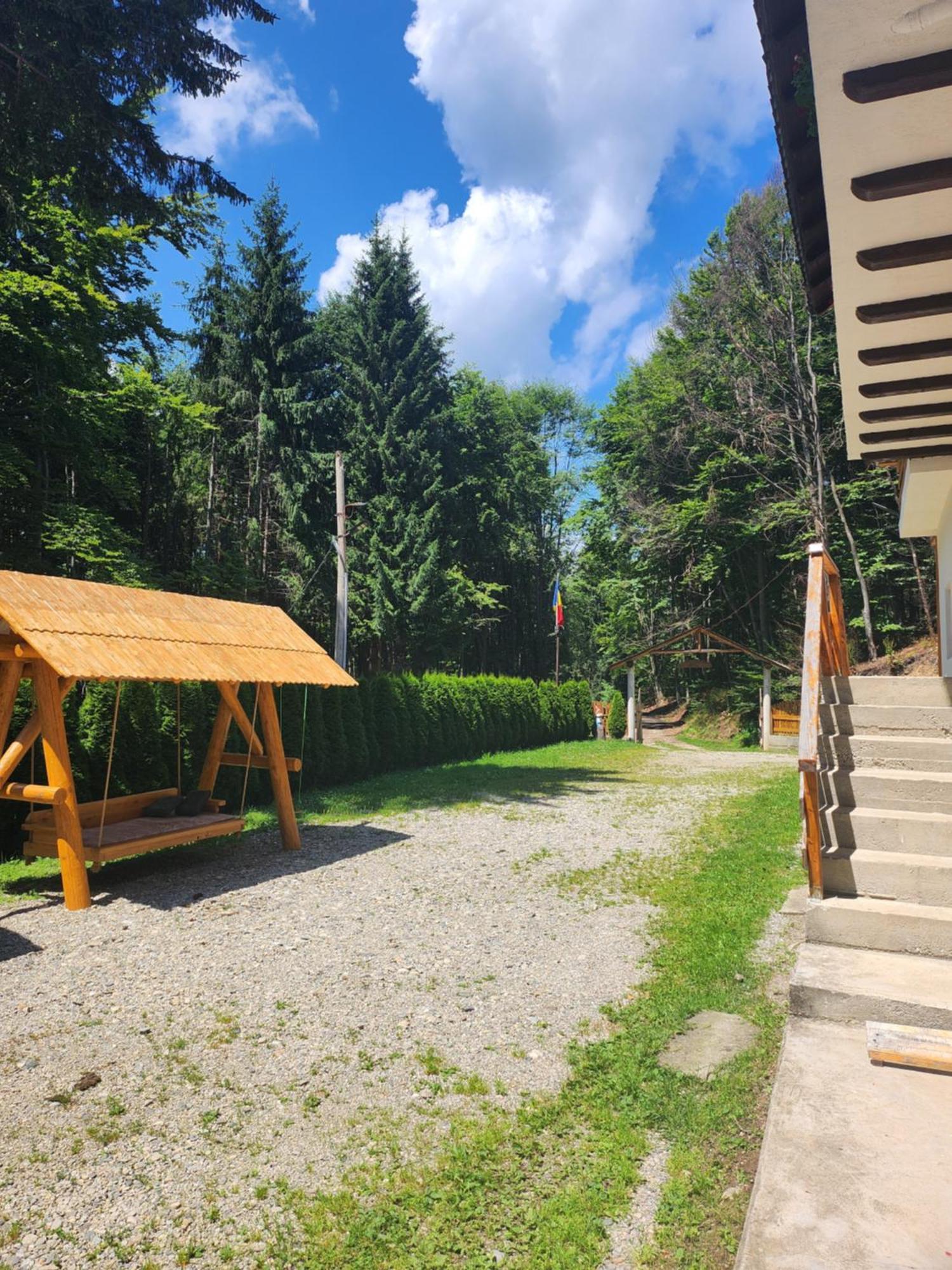 Cabana Valea Bradului Nucsoara  Exterior photo