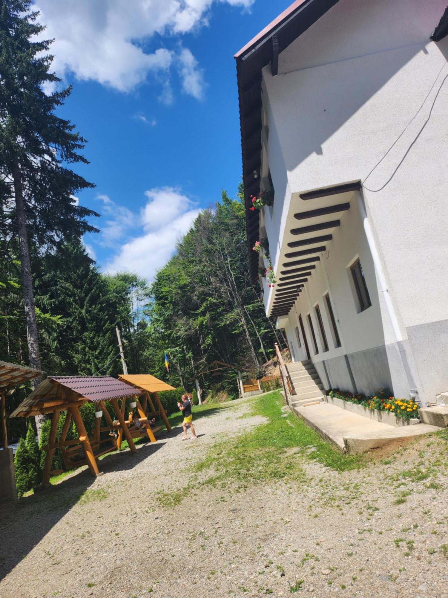 Cabana Valea Bradului Nucsoara  Exterior photo