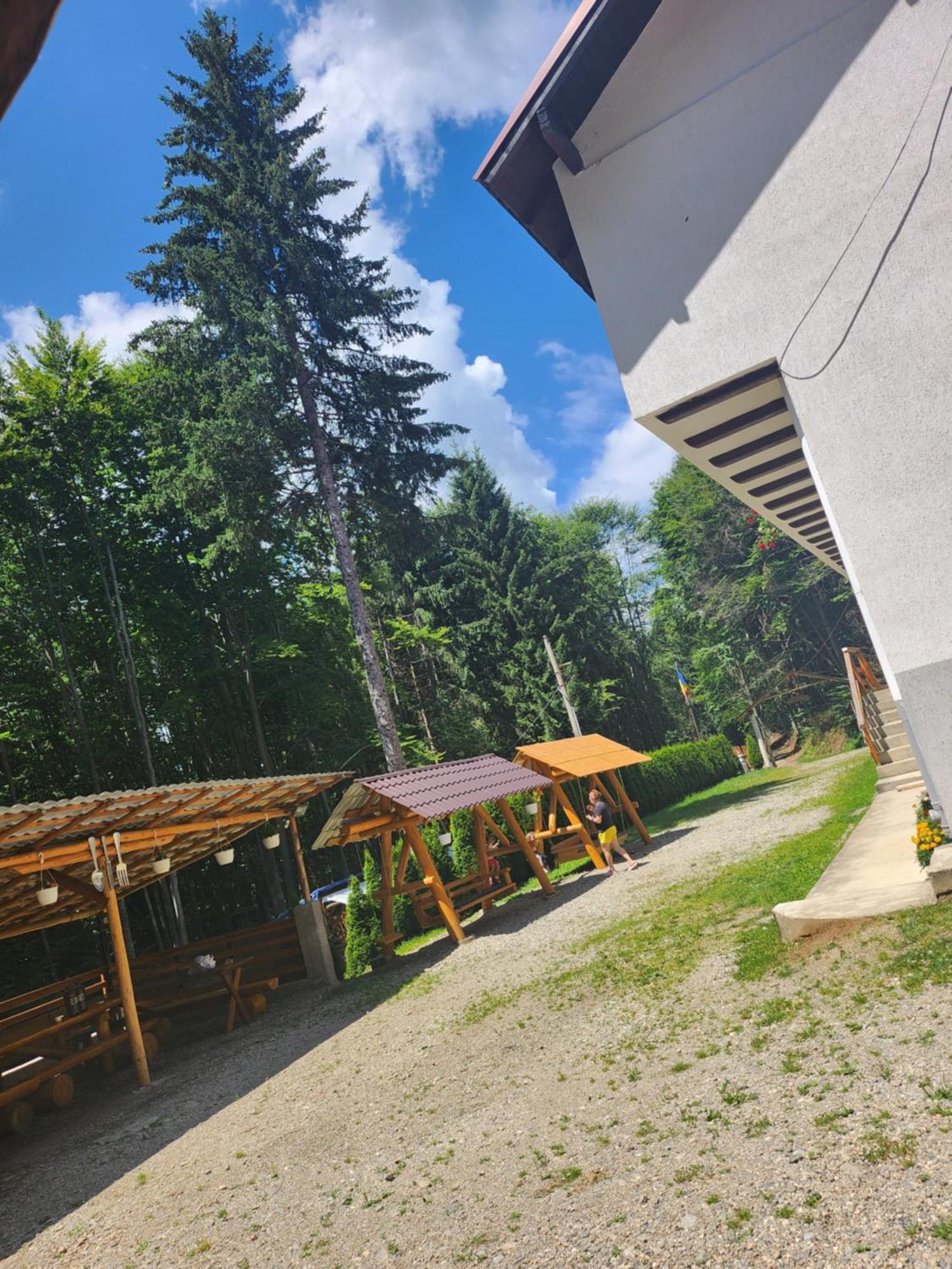 Cabana Valea Bradului Nucsoara  Exterior photo